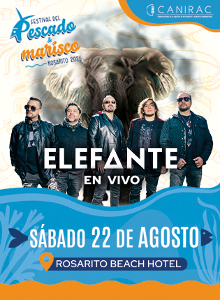 RBHR 260822 ELEFANTE 26 | ROSARITO BC